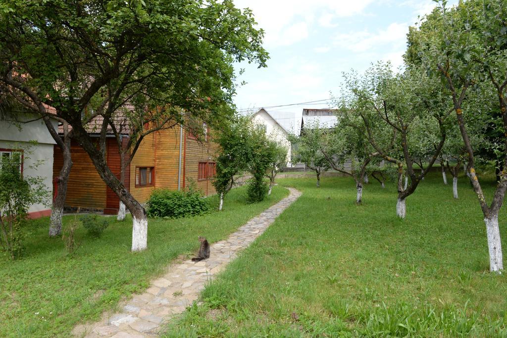 Pensiunea Flori De Camp Vatra Dornei Exteriér fotografie