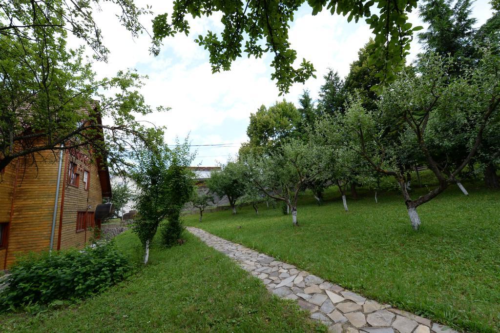Pensiunea Flori De Camp Vatra Dornei Exteriér fotografie