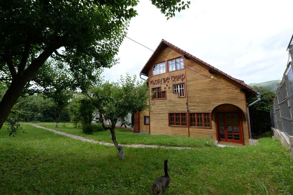 Pensiunea Flori De Camp Vatra Dornei Exteriér fotografie