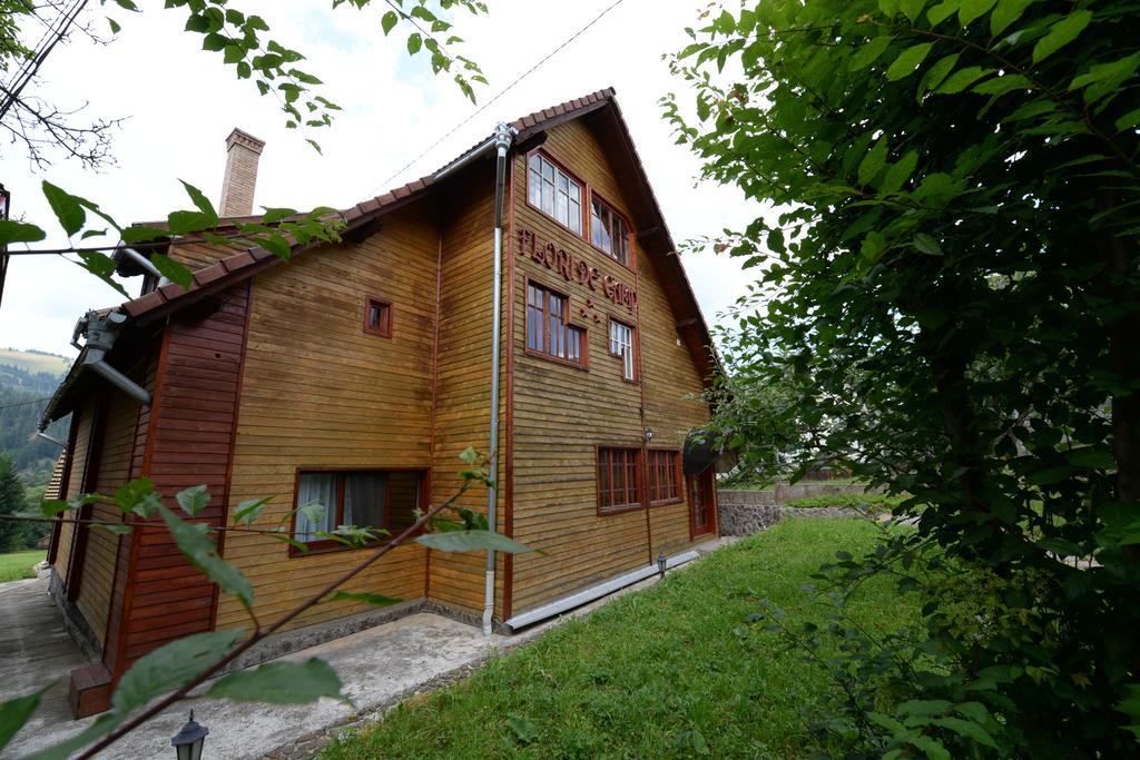Pensiunea Flori De Camp Vatra Dornei Exteriér fotografie