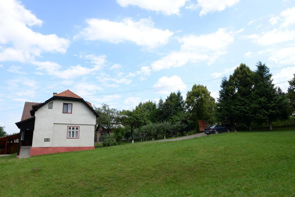 Pensiunea Flori De Camp Vatra Dornei Exteriér fotografie