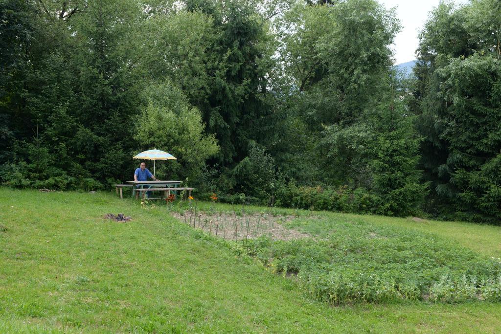 Pensiunea Flori De Camp Vatra Dornei Exteriér fotografie