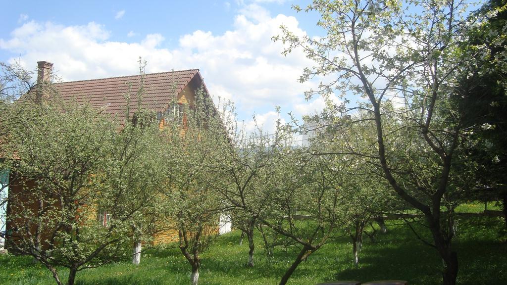Pensiunea Flori De Camp Vatra Dornei Exteriér fotografie