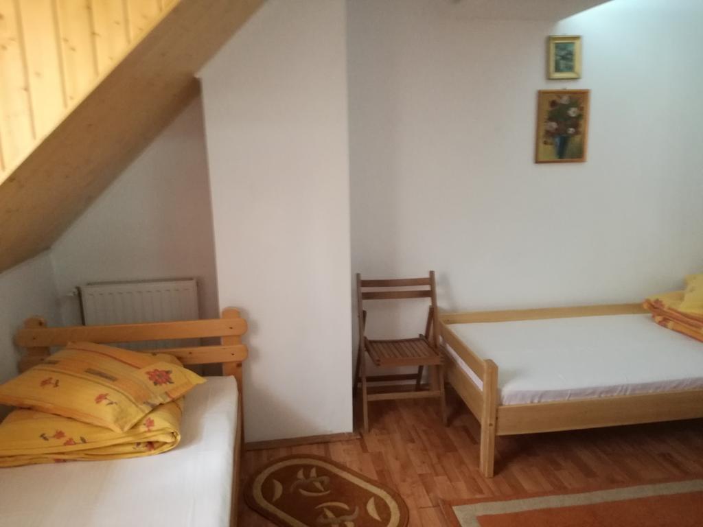 Pensiunea Flori De Camp Vatra Dornei Exteriér fotografie