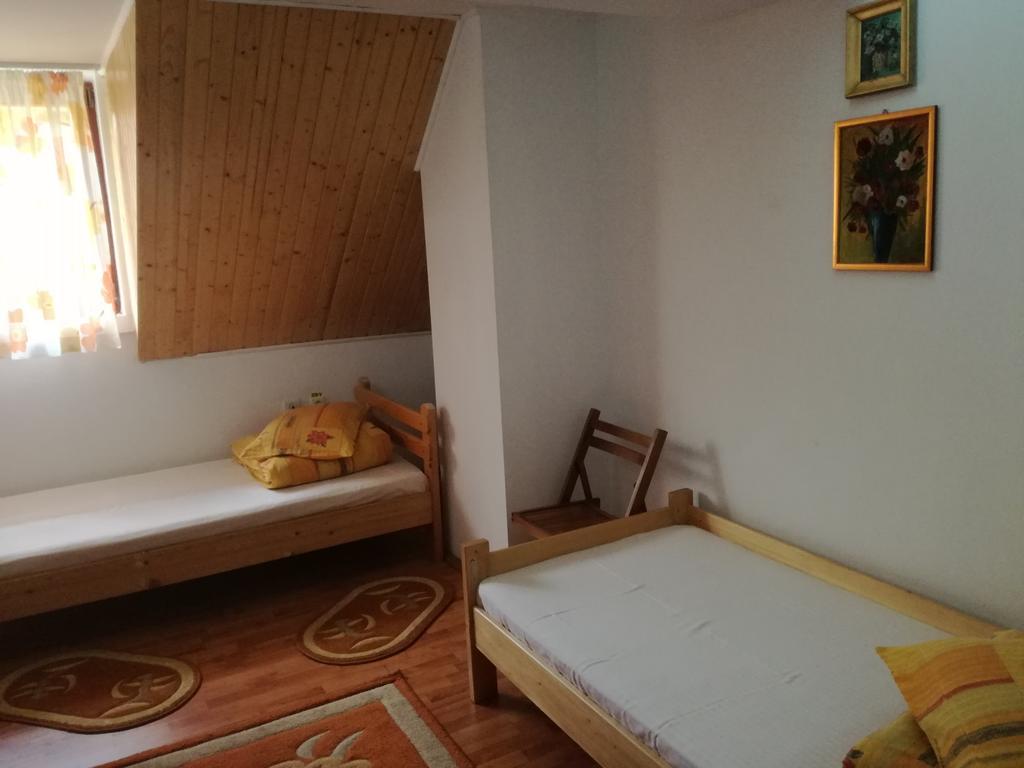 Pensiunea Flori De Camp Vatra Dornei Exteriér fotografie
