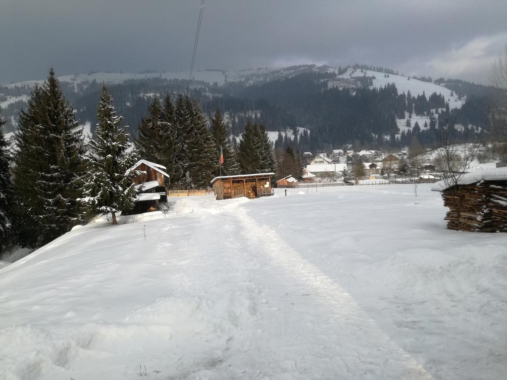 Pensiunea Flori De Camp Vatra Dornei Exteriér fotografie