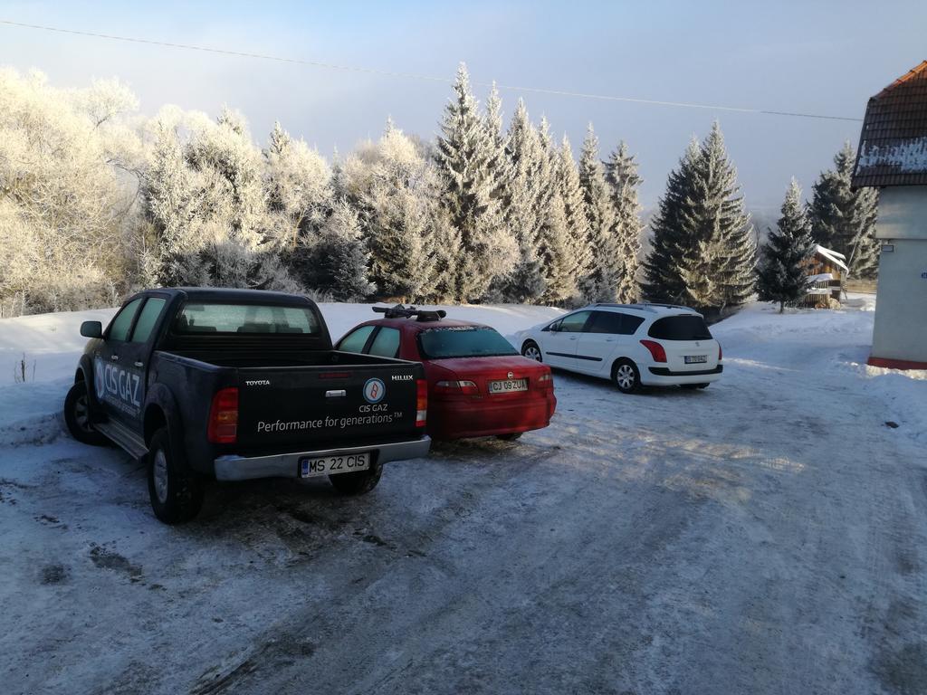 Pensiunea Flori De Camp Vatra Dornei Exteriér fotografie